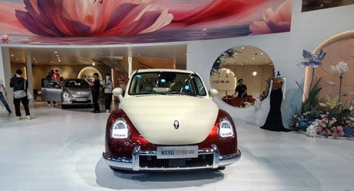 长城汽车大动作 赵永坡接管欧拉，能否再创销量神话？